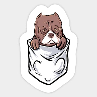 bulldog in pocket Sticker